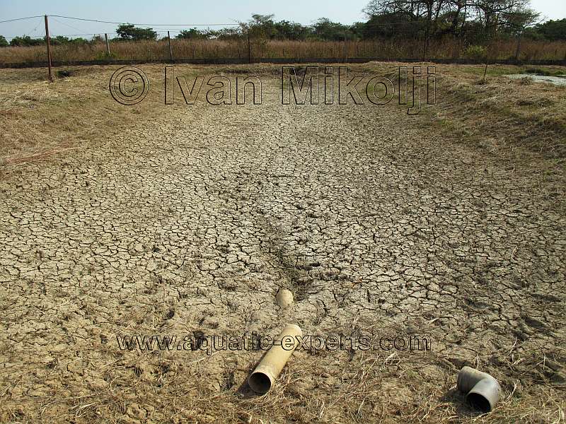 Acuicultura en Venezuela 9